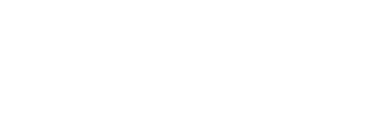 Publication logo